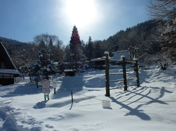 画像 383.jpg